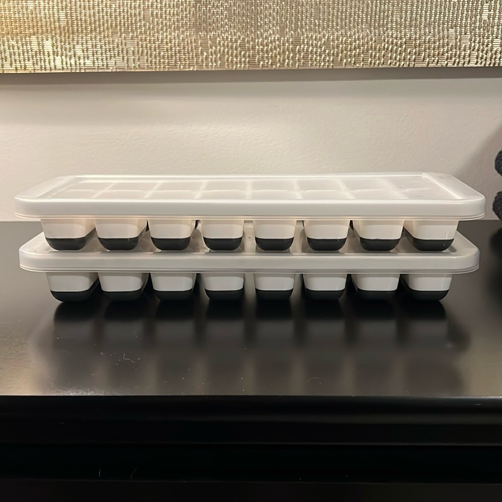Set of 2 Ice Trays